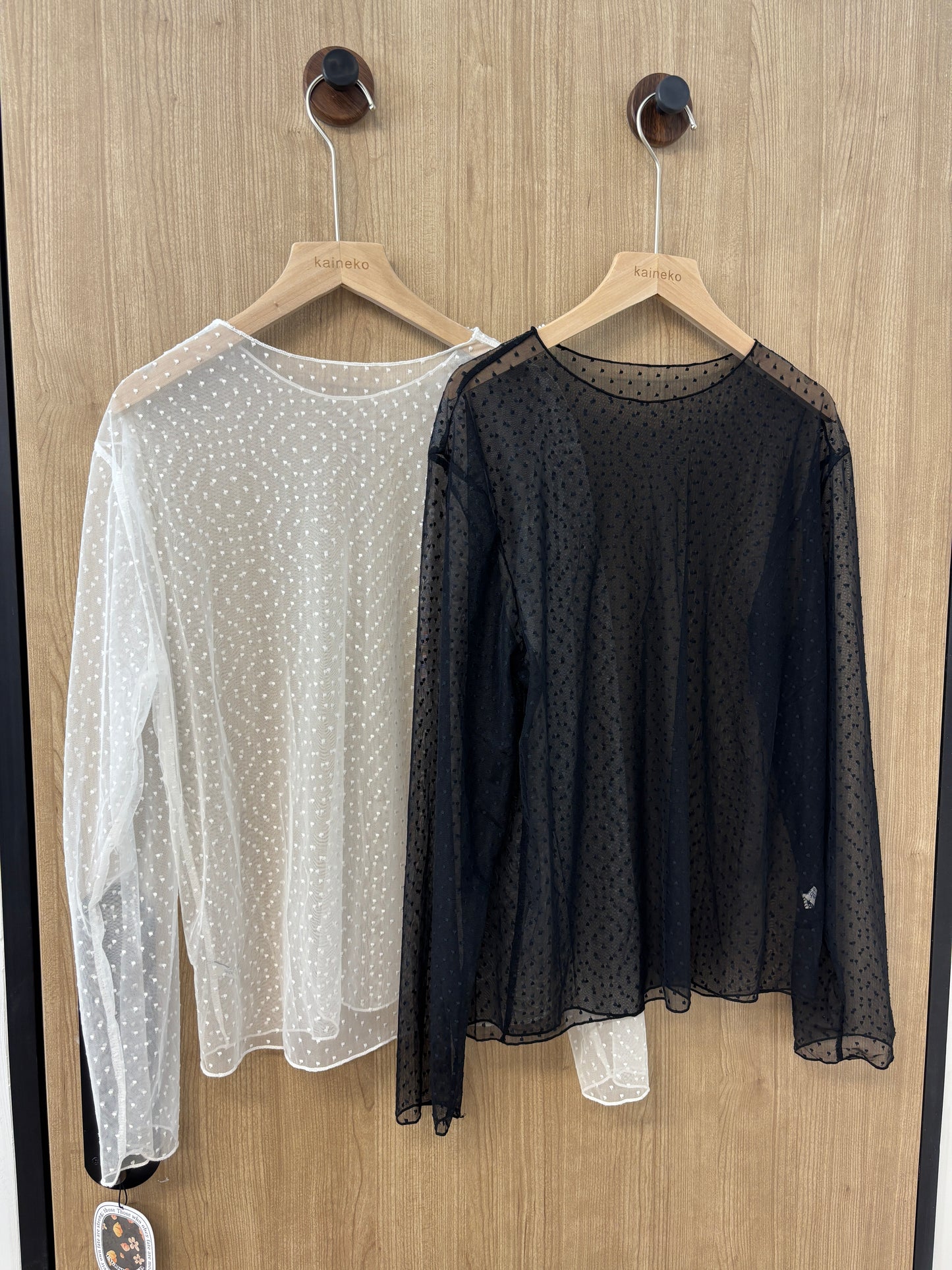 波點透透T T00156